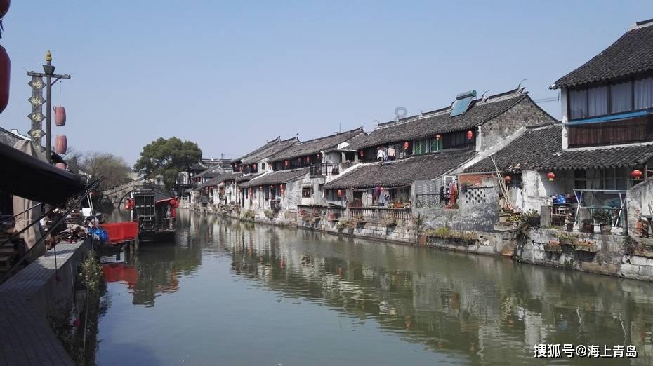 为什么总有人愿意当狗呢?—有问必答平台,解决你的疑问